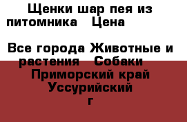 Щенки шар-пея из питомника › Цена ­ 15 000 - Все города Животные и растения » Собаки   . Приморский край,Уссурийский г. о. 